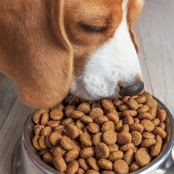 Alimentos de mascotas